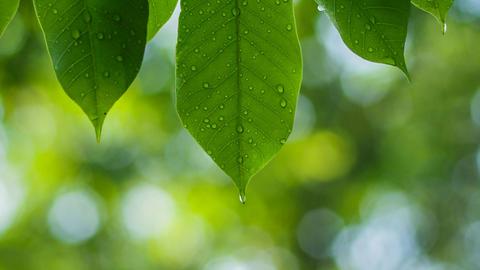 Photo de Vengadesh Sago sur Unsplash